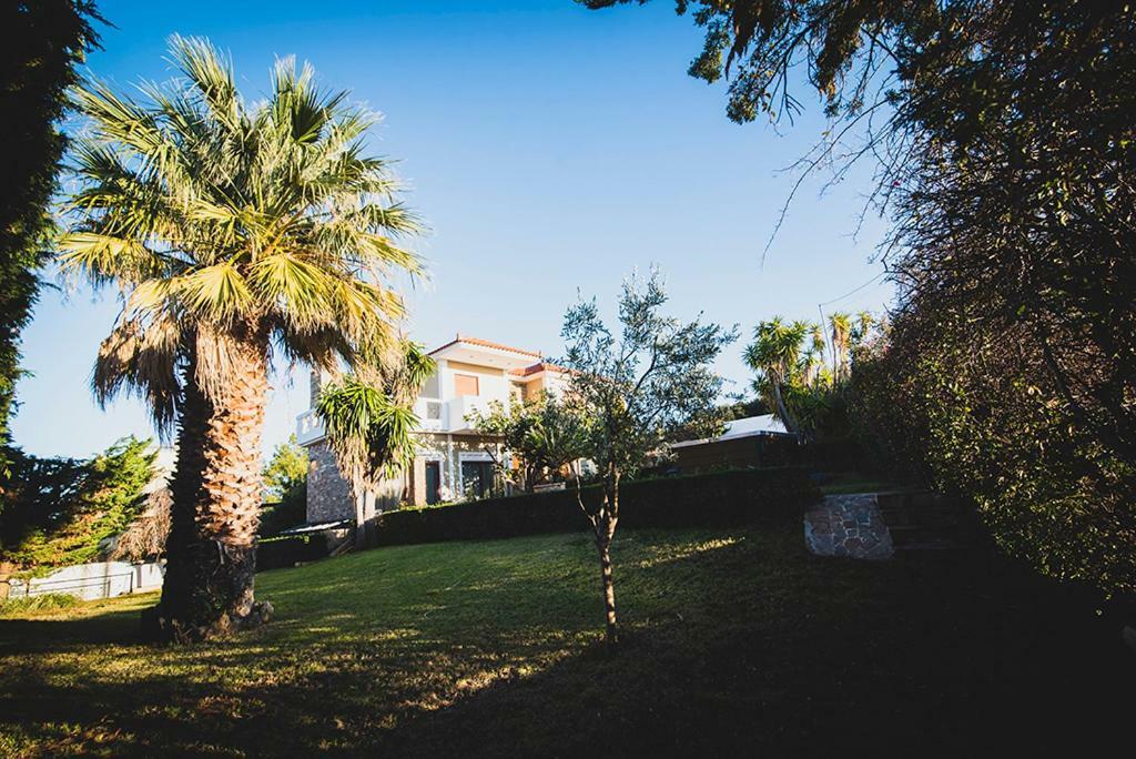 Villa Soula Anavyssos Esterno foto